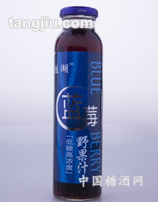 佳湖藍莓野果汁420ml