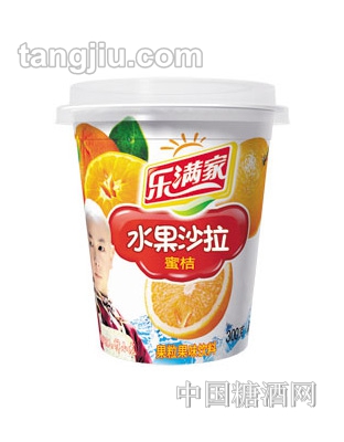 樂(lè)滿家蜜桔水果沙拉果粒果味飲料300g