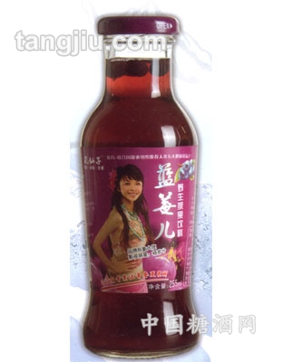 花仙子藍莓兒果汁255ml