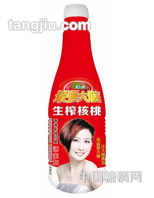 升級(jí)版強(qiáng)大腦生榨核桃乳1.25L