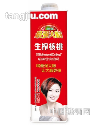 升級(jí)版強(qiáng)大腦生榨核桃乳1L