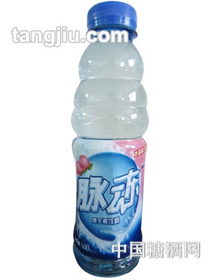 加力健脈凍維生素飲料500ml