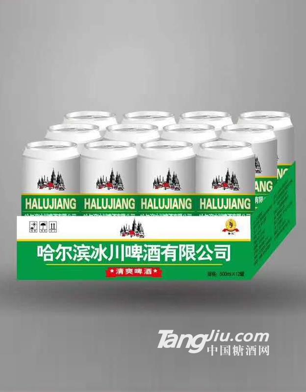 哈爾濱魯江啤酒500ml×12罐