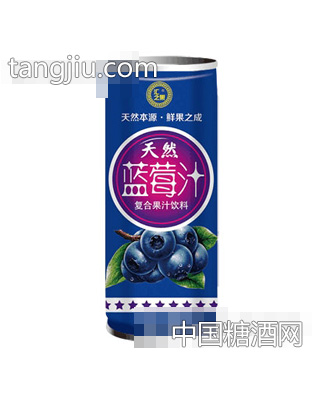 匯之果天然藍莓汁240ml