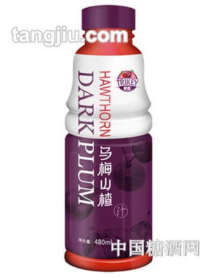 彩肌烏梅山楂汁480ml