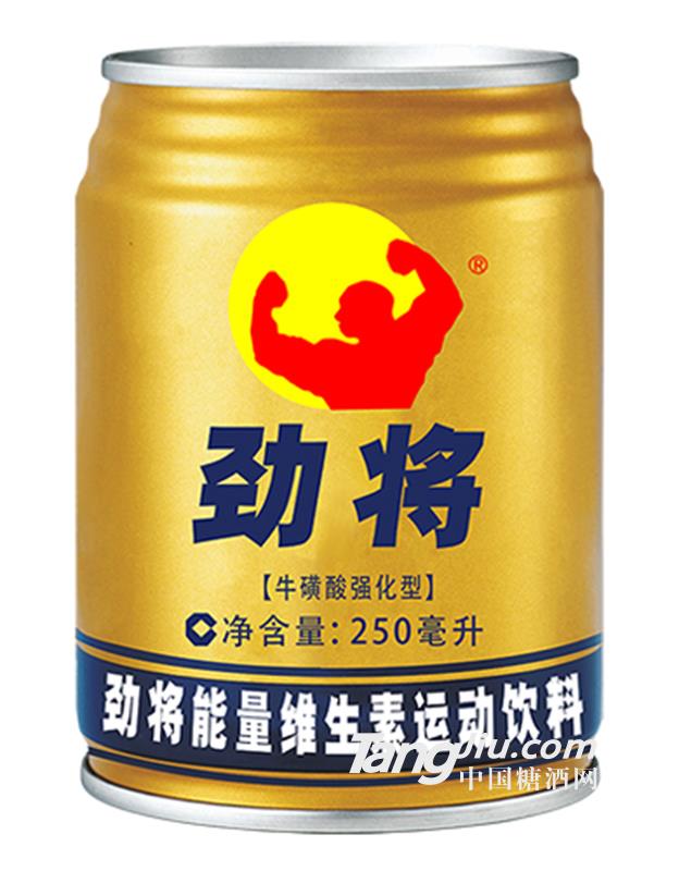 勁將能量維生素運(yùn)動(dòng)飲料250ml