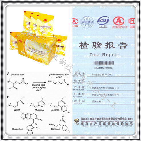 伽馬氨基丁酸80