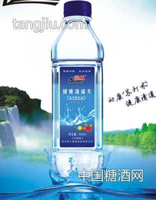 動(dòng)康蘇打水500ml