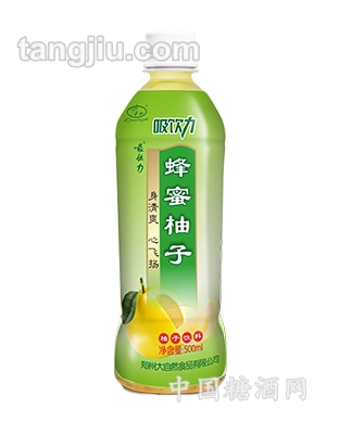 吸引力蜂蜜柚子500ML